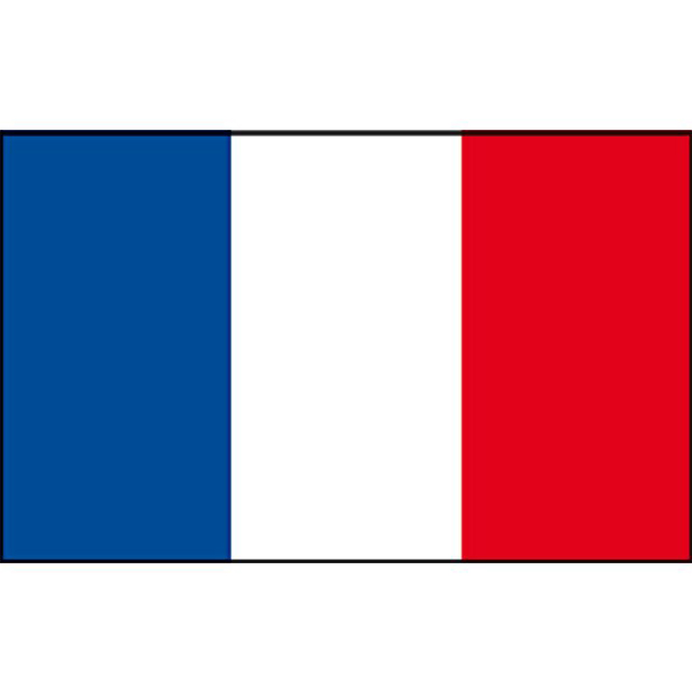 Franse vlag 40x60