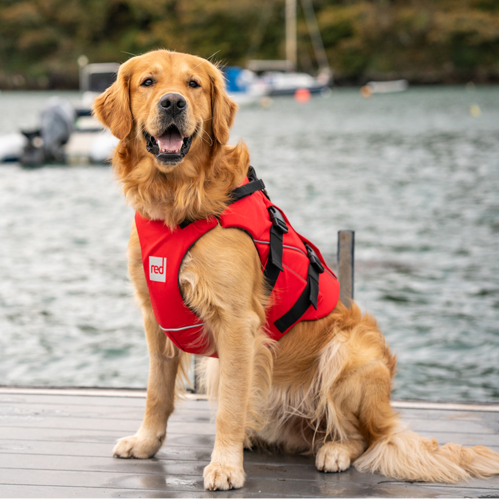 red paddle honden zwemvest rood 2