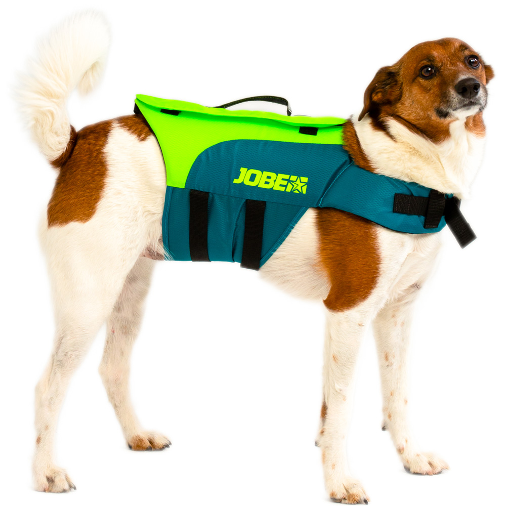 zwemvest hond Lime Teal