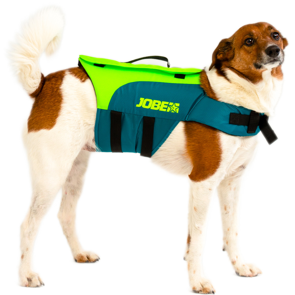 Jobe zwemvest hond Lime Teal 1