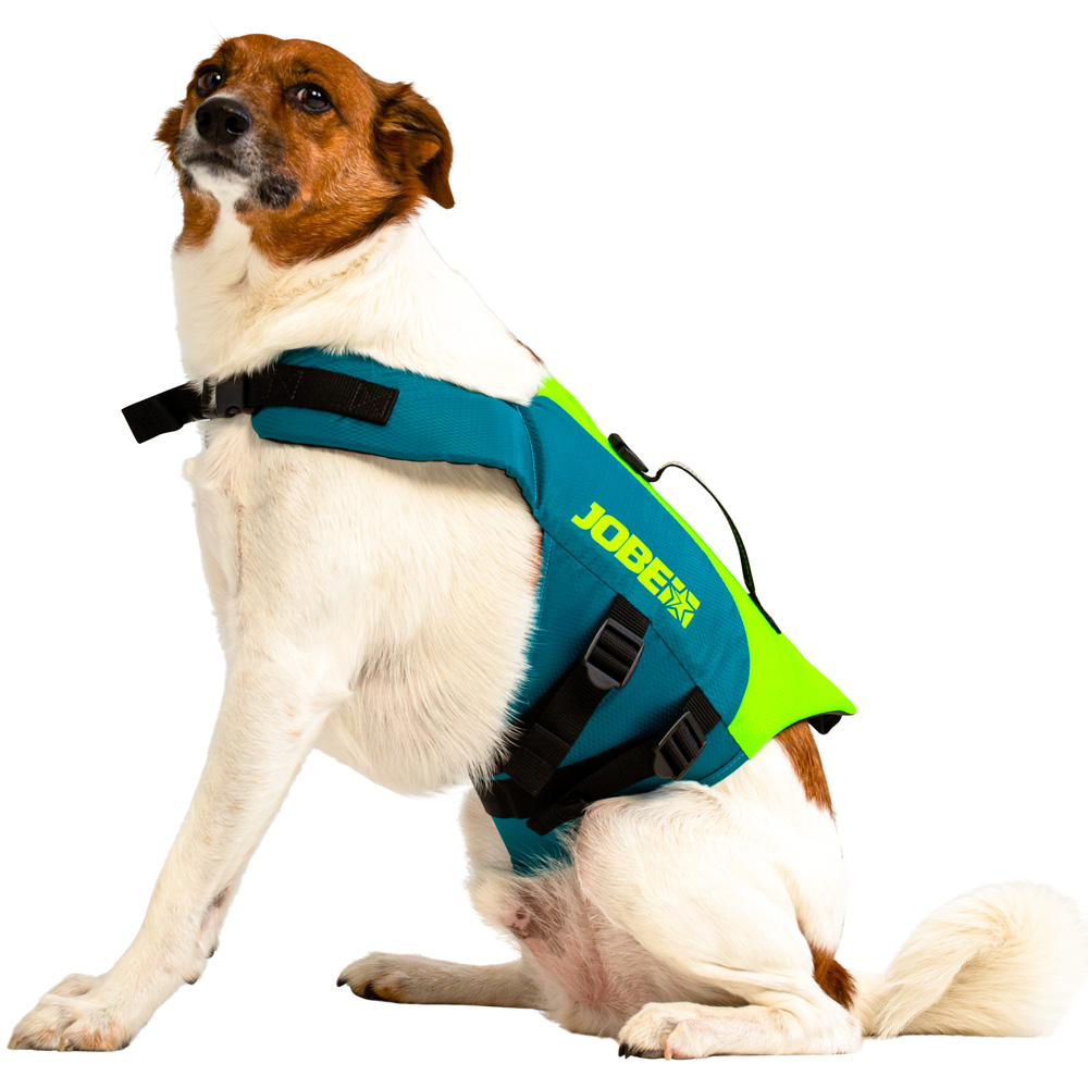 Jobe zwemvest hond Lime Teal 2