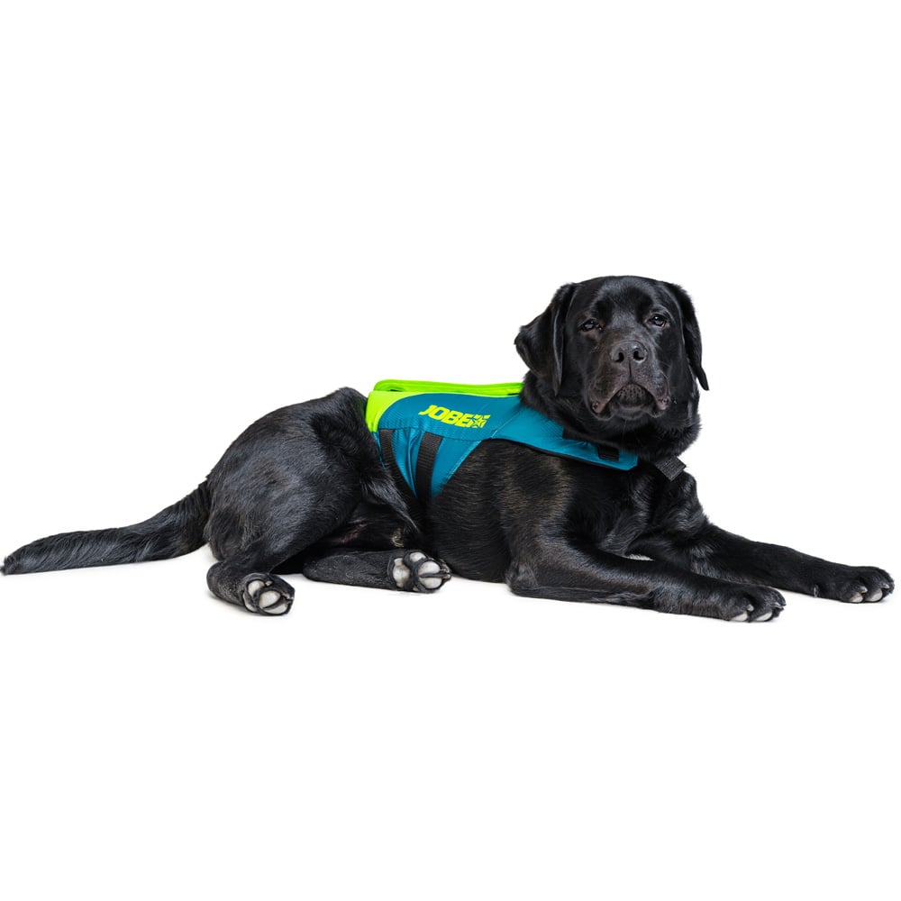 Jobe zwemvest hond Lime Teal 4