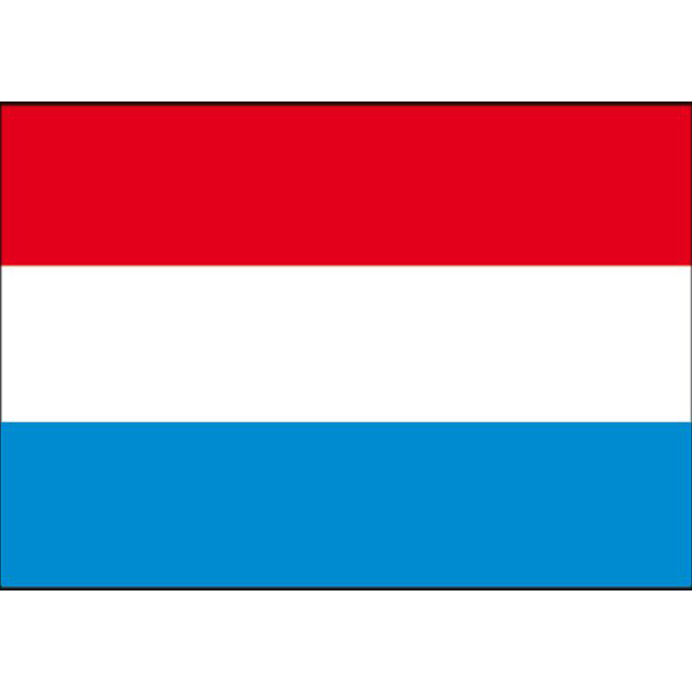 Nederlandse vlag 20x30