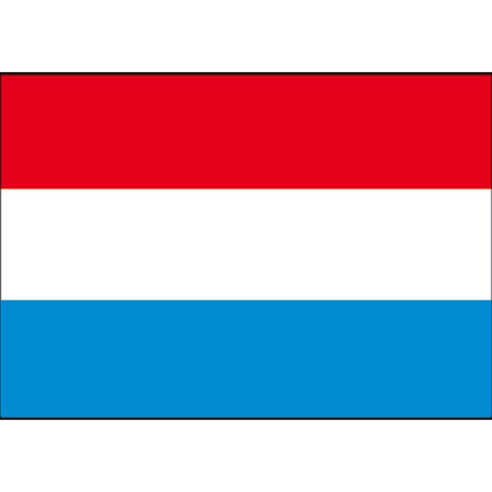 Nederlandse vlag 30x45