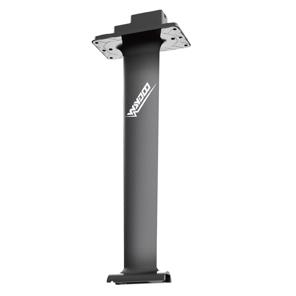 EVO 31 mast carbon